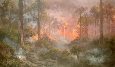 Feu de brousse - Naylor Gill